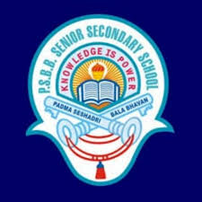 Padma Seshadri Bala Bhavan Senior Secondry School, Chennai logo